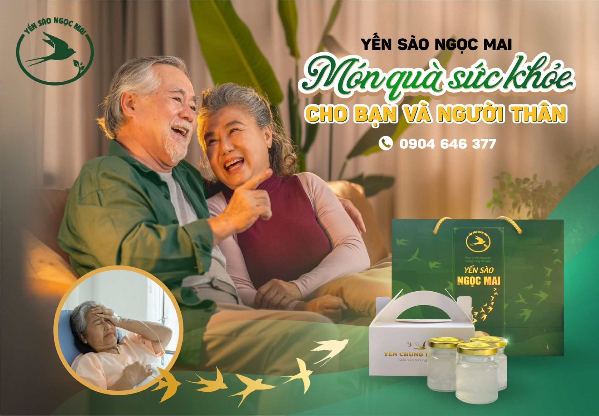 Tổ yến: phục hồi sức khỏe và sinh lực